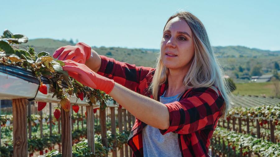 CV d’exploitant agricole