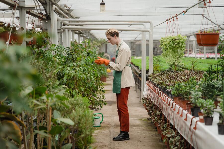 les compétences essentielles dans le métier d’horticulteur