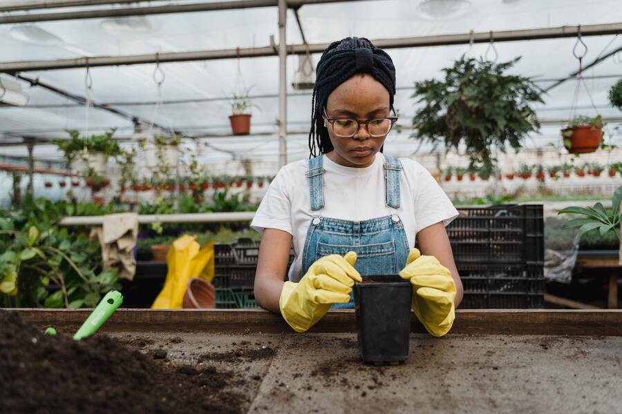 CV d'Horticulteur