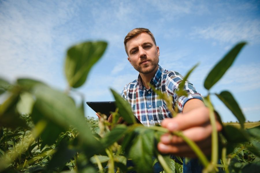 CV ingénieur agricole