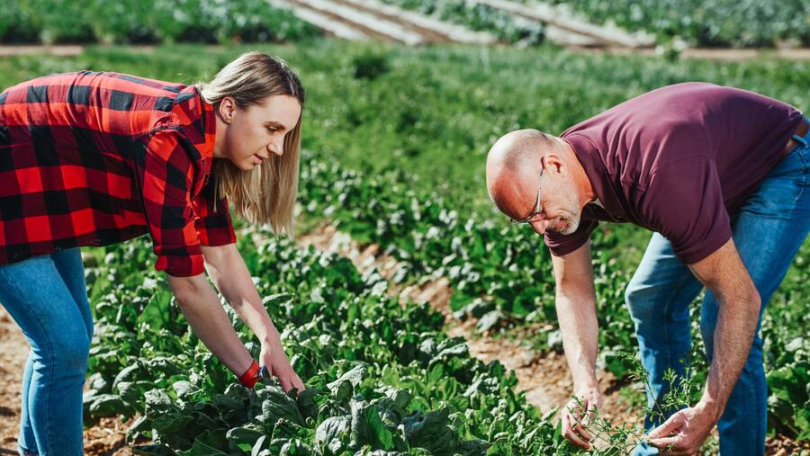 les compétences essentielles dans le métier d’exploitant agricole