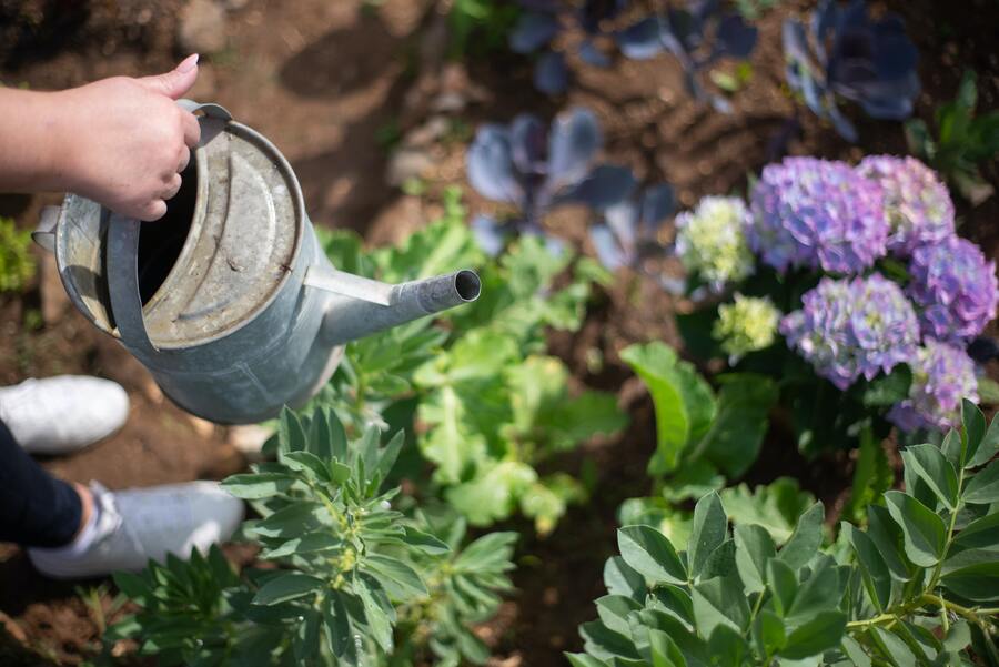 se démarquer avec un CV de jardinier